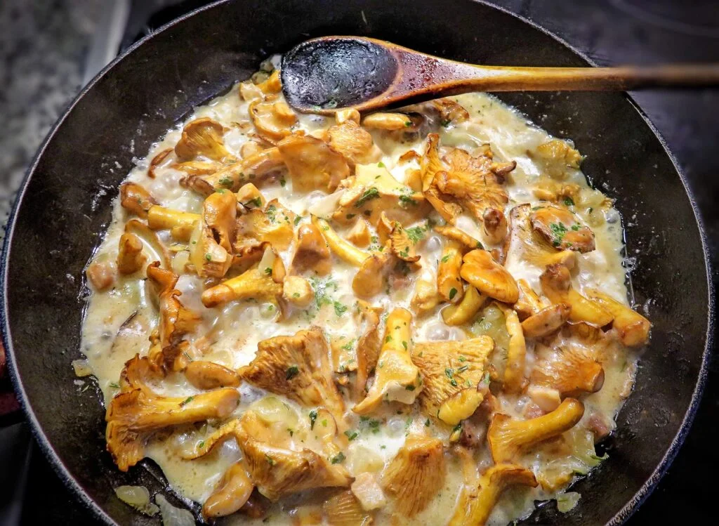Comment cuisiner des chanterelles ? 1 Comment préparer des chanterelles